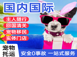 甘孜康定空运代理国际宠物托运 【国